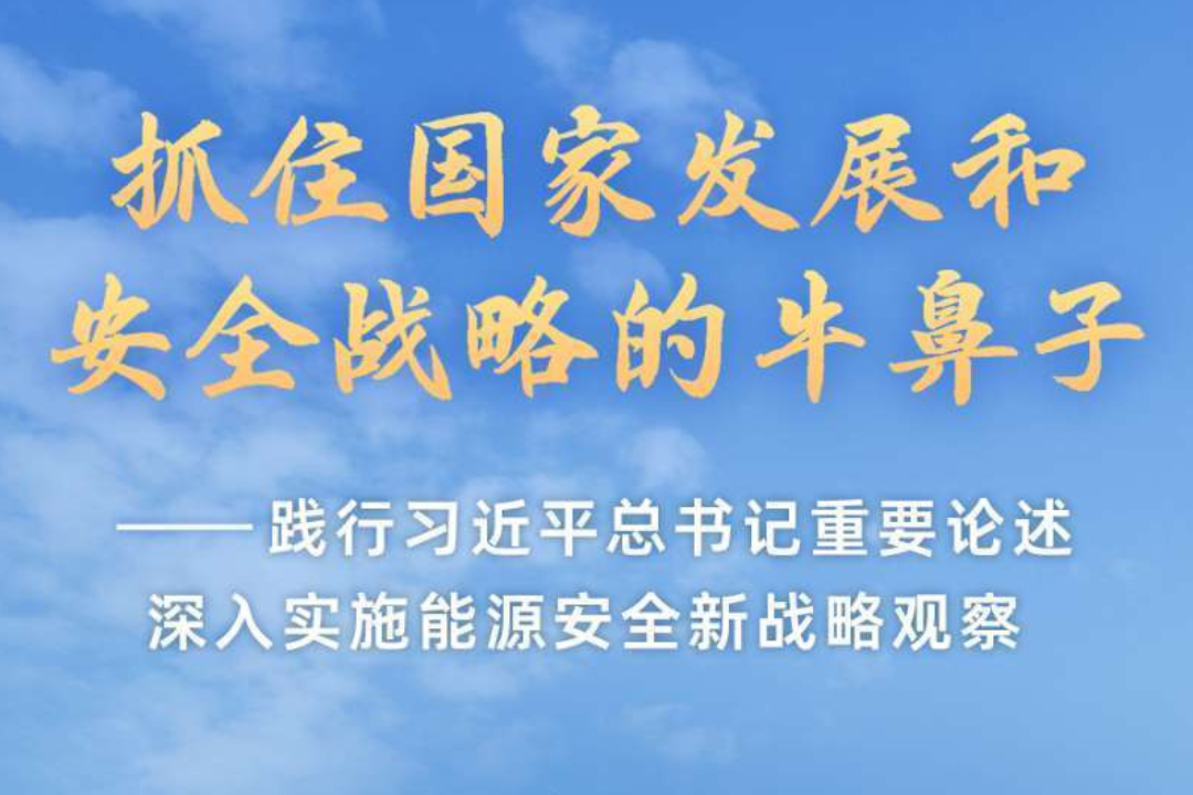 践行习近平总书记重要论述深入实施能源安全新战略